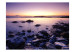 Wall Mural Calm Sea - Sunset and Beach with Stones and Delicate Mist 60486 additionalThumb 1