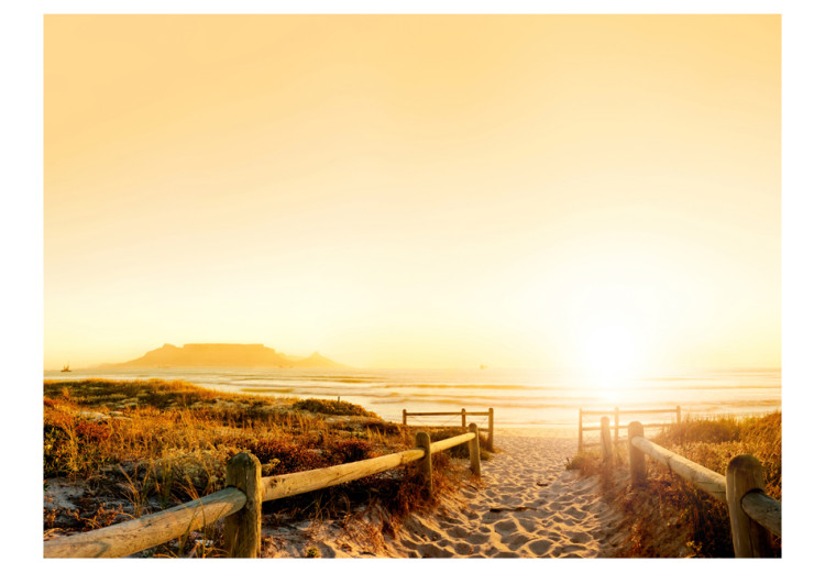 Wall Mural Seascape - Sandy Beach by the Sea Bathed in Sun Rays 61586 additionalImage 1
