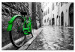 Canvas Vintage Green Bike 92086