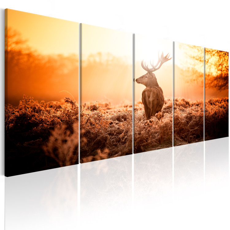 Canvas Art Print Stag at Sunset (5-piece) - Forest Animal in the Middle of Field 105896 additionalImage 2