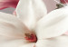 Canvas Dazzling Magnolias (5-part) Narrow - Flowers with Spring Glow 107896 additionalThumb 4