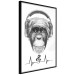 Wall Poster Musical Pulse - black and white musical composition with a monkey portrait 114296 additionalThumb 11