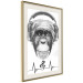 Wall Poster Musical Pulse - black and white musical composition with a monkey portrait 114296 additionalThumb 2