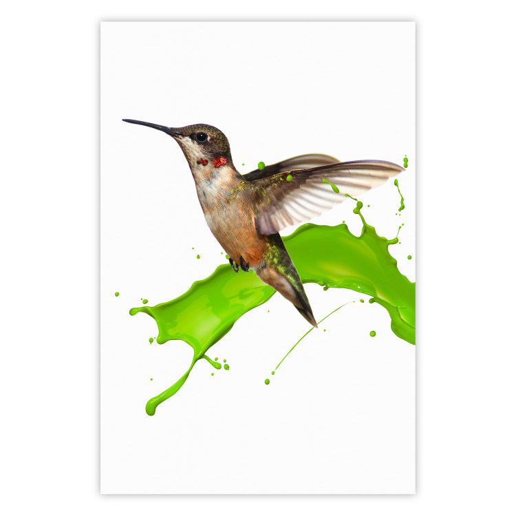 Poster Hummingbird in Flight - Brown bird and spilled paint in green color 114396
