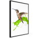 Poster Hummingbird in Flight - Brown bird and spilled paint in green color 114396 additionalThumb 12