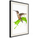 Poster Hummingbird in Flight - Brown bird and spilled paint in green color 114396 additionalThumb 5
