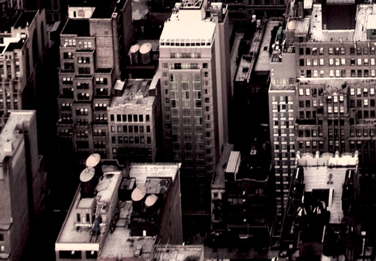 Wall Poster Sepia Manhattan - New York architecture seen from a bird's eye view 116696 additionalImage 10