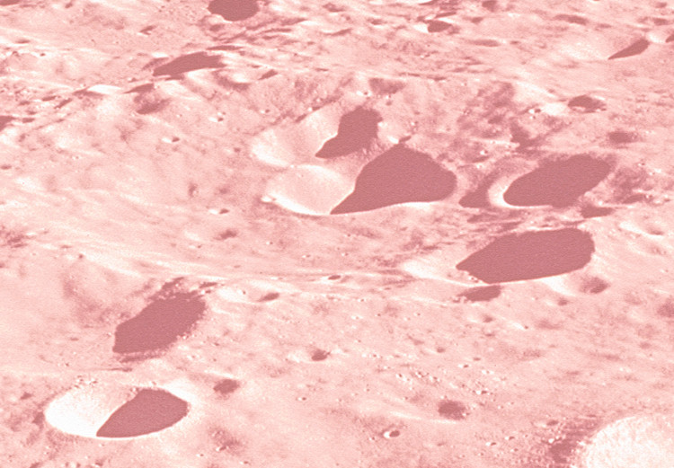 Canvas Art Print The surface of the moon - a photo from space in a pink colour 123196 additionalImage 5