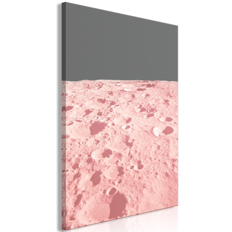 Canvas Art Print The surface of the moon - a photo from space in a pink colour 123196 additionalImage 2
