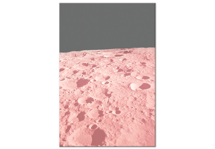 Canvas Art Print The surface of the moon - a photo from space in a pink colour 123196