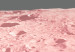 Canvas Art Print The surface of the moon - a photo from space in a pink colour 123196 additionalThumb 4