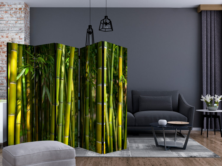 Room Divider Screen Oriental Garden II (5-piece) - pattern in green bamboo sticks 132996 additionalImage 4