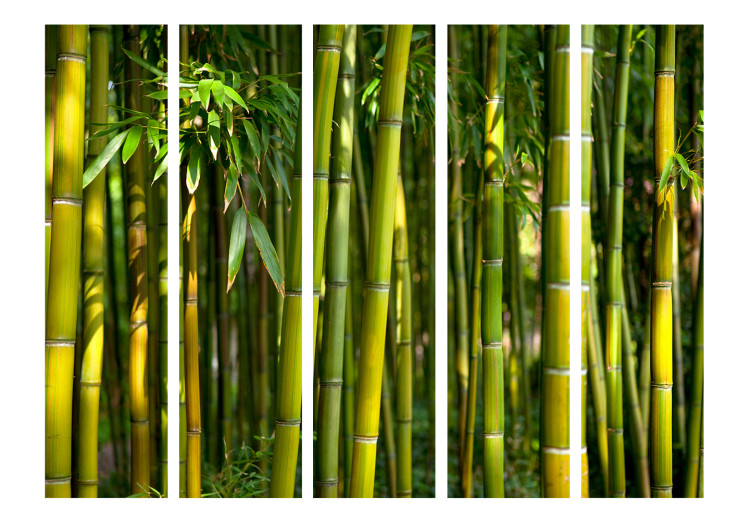 Room Divider Screen Oriental Garden II (5-piece) - pattern in green bamboo sticks 132996 additionalImage 3