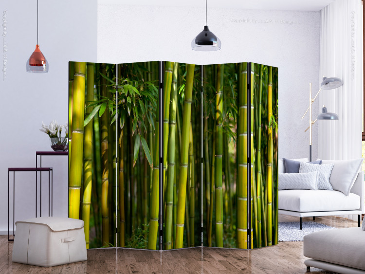 Room Divider Screen Oriental Garden II (5-piece) - pattern in green bamboo sticks 132996 additionalImage 2