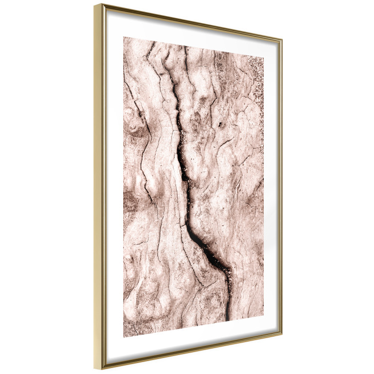 Poster Touch of Tropical Wind - natural texture of cracked driftwood 135296 additionalImage 13