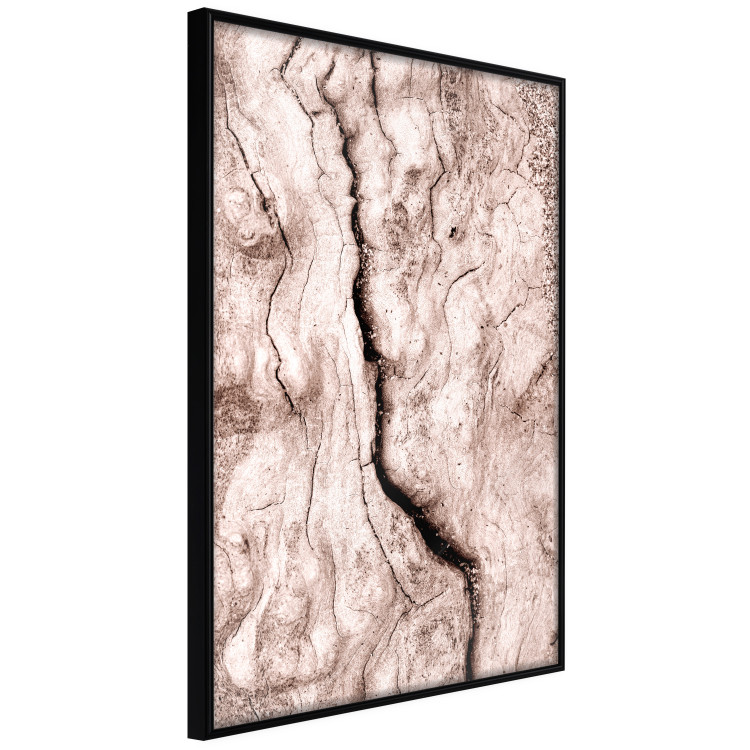 Poster Touch of Tropical Wind - natural texture of cracked driftwood 135296 additionalImage 15