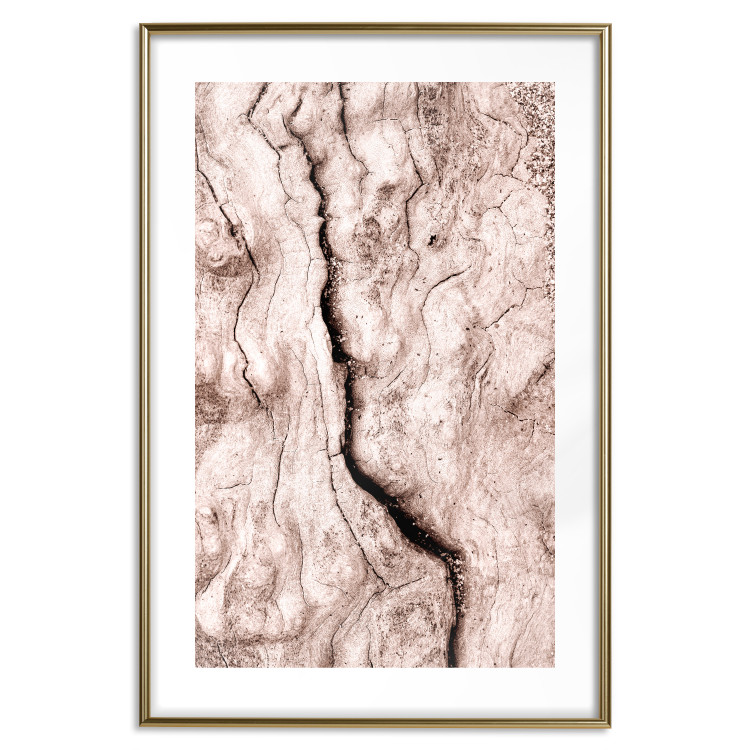 Poster Touch of Tropical Wind - natural texture of cracked driftwood 135296 additionalImage 19