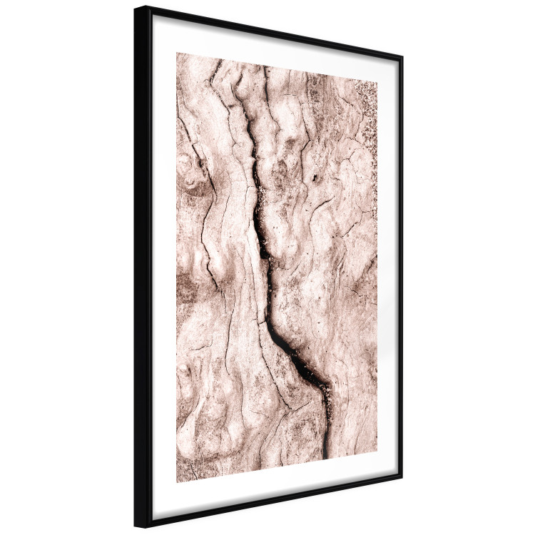 Poster Touch of Tropical Wind - natural texture of cracked driftwood 135296 additionalImage 12
