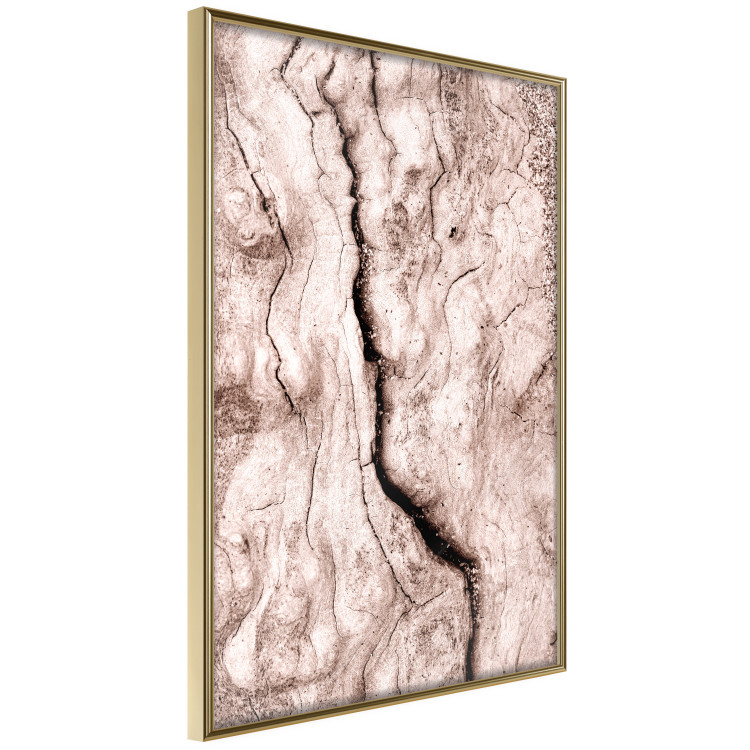 Poster Touch of Tropical Wind - natural texture of cracked driftwood 135296 additionalImage 14