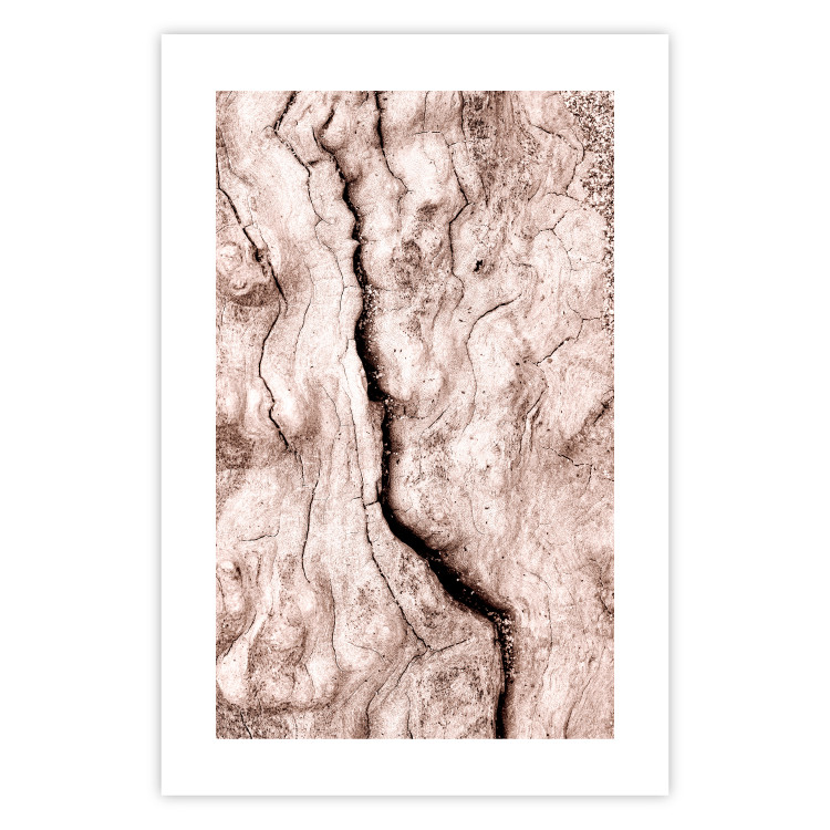 Poster Touch of Tropical Wind - natural texture of cracked driftwood 135296 additionalImage 4