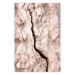 Poster Touch of Tropical Wind - natural texture of cracked driftwood 135296