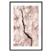 Poster Touch of Tropical Wind - natural texture of cracked driftwood 135296 additionalThumb 20
