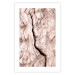 Poster Touch of Tropical Wind - natural texture of cracked driftwood 135296 additionalThumb 4