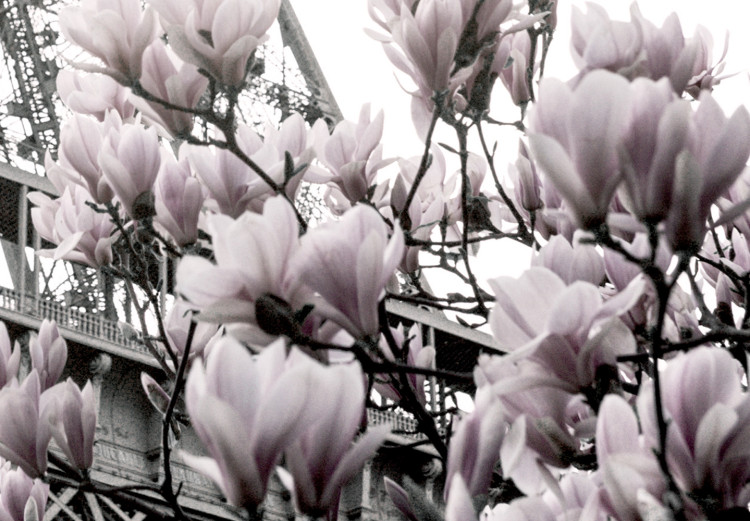Canvas Parisian Magnolias (1-piece) Vertical - spring flowers with tower background 135596 additionalImage 5