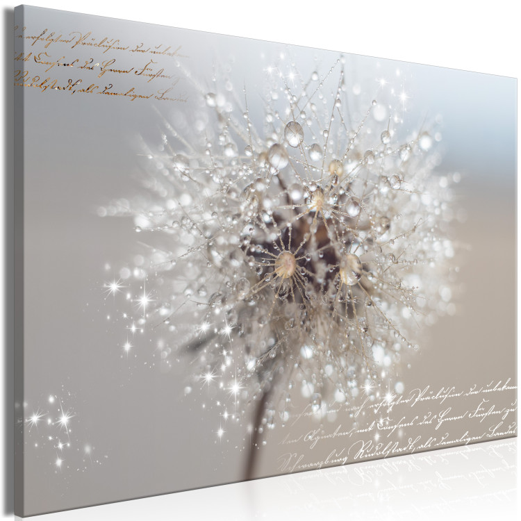 Canvas Print Dandelion in Sepia Tones (1-piece) Wide - flower and texts 142796 additionalImage 2