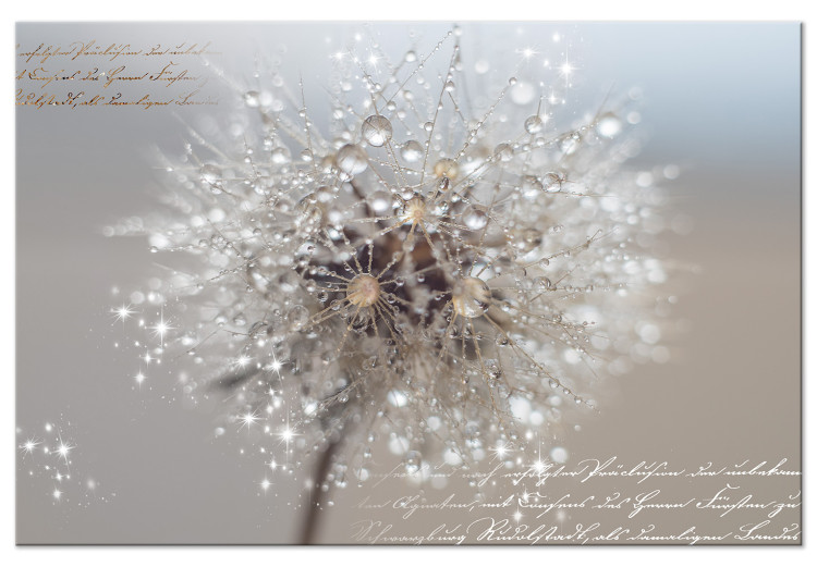 Canvas Print Dandelion in Sepia Tones (1-piece) Wide - flower and texts 142796