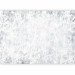 Photo Wallpaper Texture Variety - gray background with abstract stains 145296 additionalThumb 5