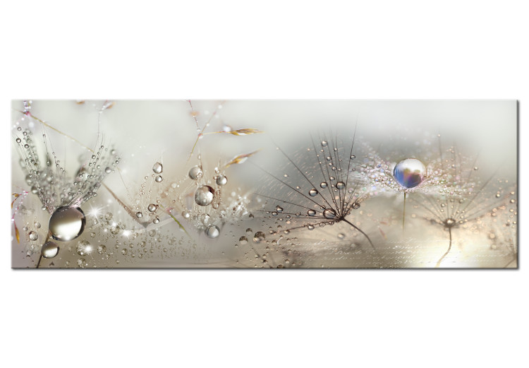 Large canvas print Morning Song III [Large Format] 148996