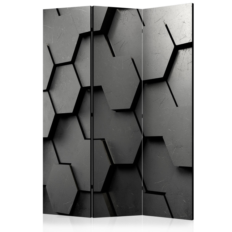 Folding Screen Black Gate [Room Dividers] 150996