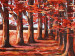 Canvas Print Autumn path - a forest landscape full of leaves and warm colors 49596 additionalThumb 3