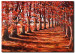 Canvas Print Autumn path - a forest landscape full of leaves and warm colors 49596