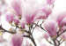 Canvas Art Print Southern magnolias 58496 additionalThumb 4