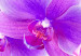 Canvas Ethereal orchid - violet 58796 additionalThumb 5