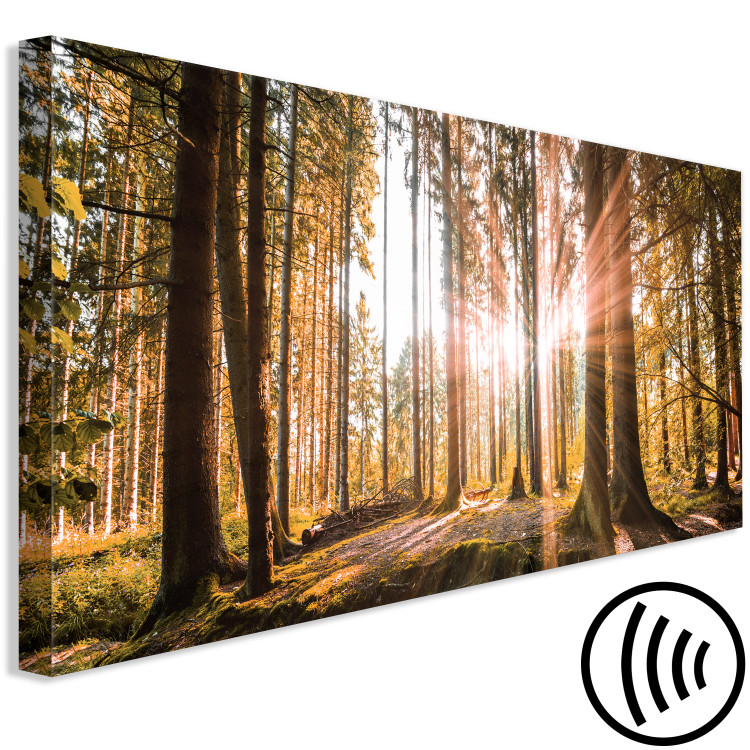 Canvas Small Natural Wonders  64596 additionalImage 6