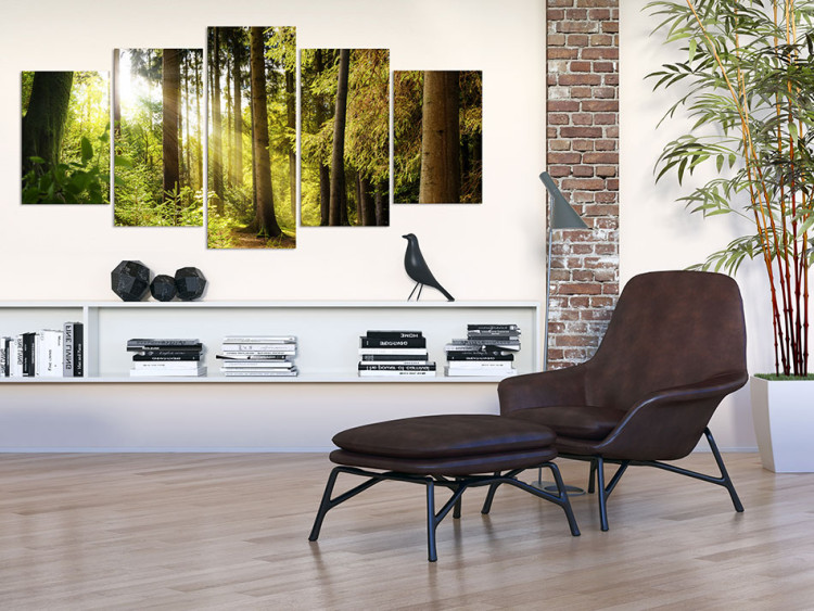 Canvas Print Morning Song (5-part) - sun rays in the center of a dense forest 94196 additionalImage 3