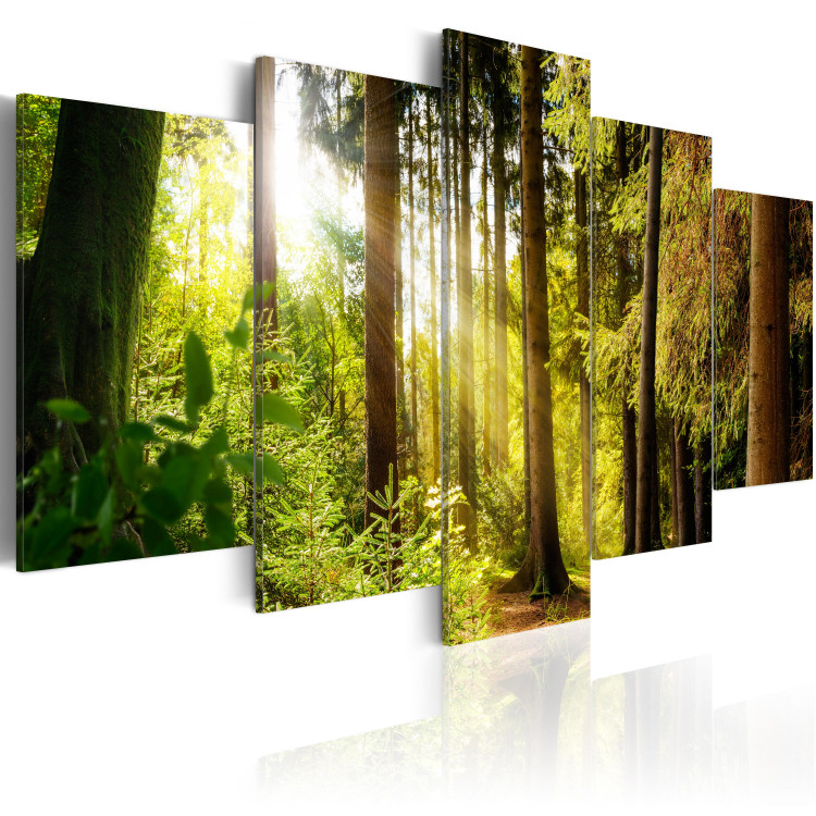 Canvas Print Morning Song (5-part) - sun rays in the center of a dense forest 94196 additionalImage 2