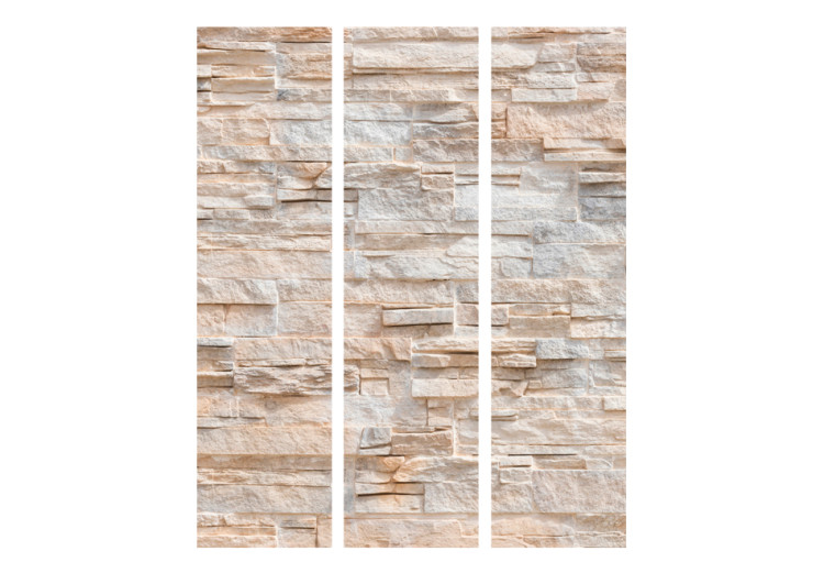 Room Separator Stone Sophistication - architectural texture of beige bricks 95496 additionalImage 3