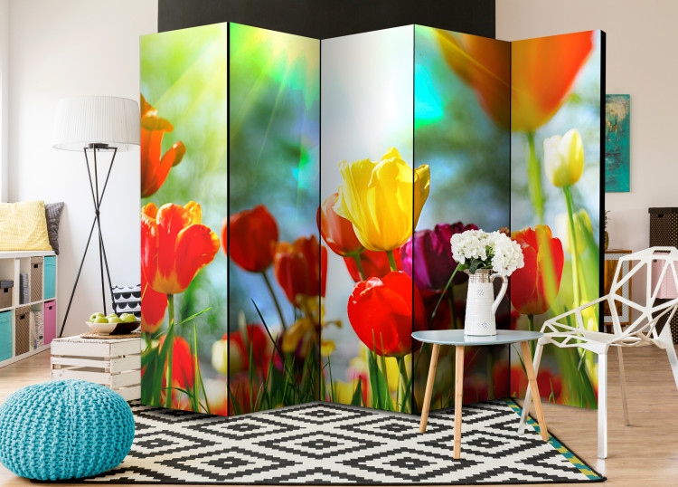 Folding Screen Spring Tulips II - colorful tulip meadow in spring colors 96996 additionalImage 4