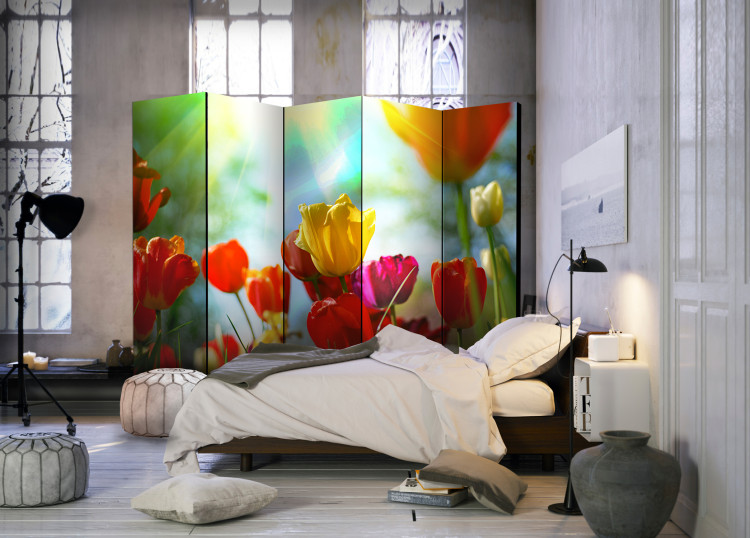 Folding Screen Spring Tulips II - colorful tulip meadow in spring colors 96996 additionalImage 2