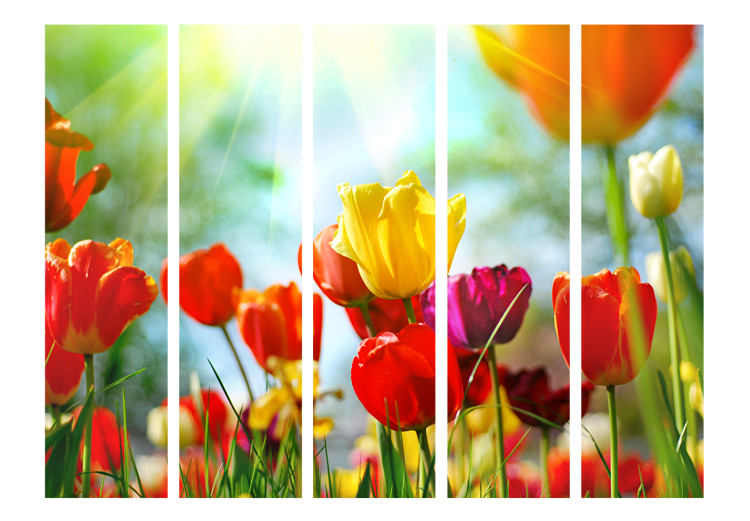 Folding Screen Spring Tulips II - colorful tulip meadow in spring colors 96996 additionalImage 3