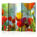 Folding Screen Spring Tulips II - colorful tulip meadow in spring colors 96996