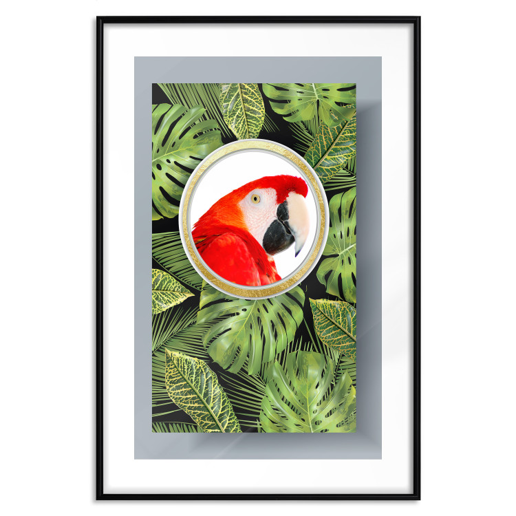 Wall Poster Parrot in the jungle - colorful bird on a background of green tropical leaves 116407 additionalImage 15