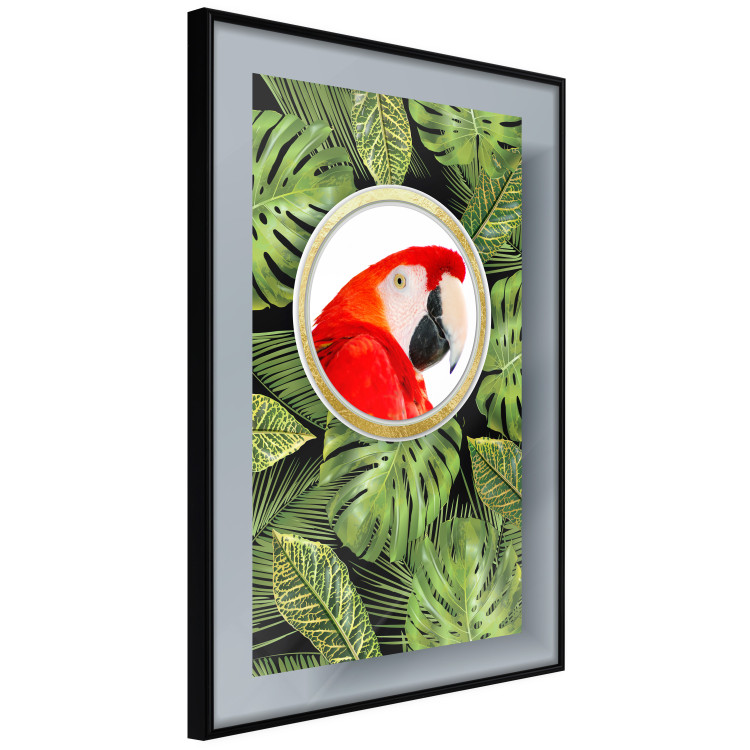 Wall Poster Parrot in the jungle - colorful bird on a background of green tropical leaves 116407 additionalImage 10