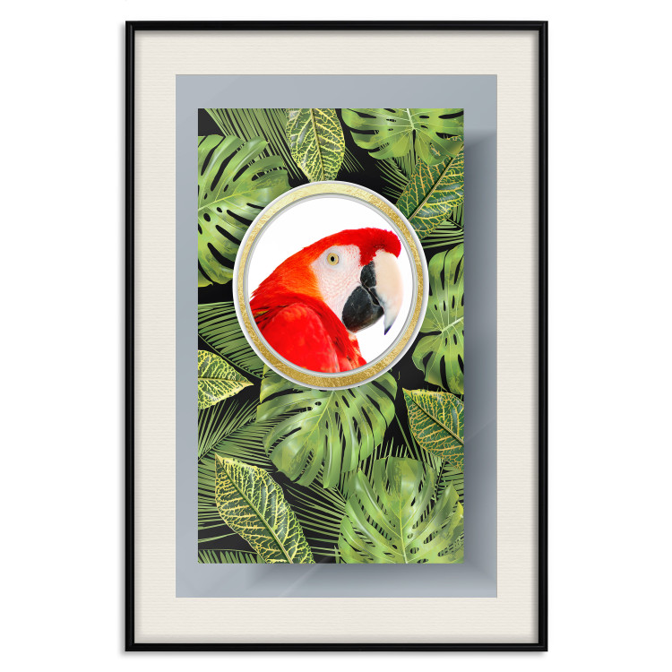 Wall Poster Parrot in the jungle - colorful bird on a background of green tropical leaves 116407 additionalImage 18