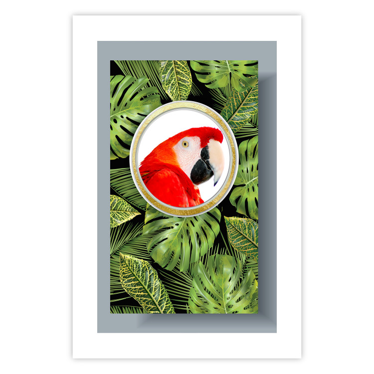 Wall Poster Parrot in the jungle - colorful bird on a background of green tropical leaves 116407 additionalImage 25