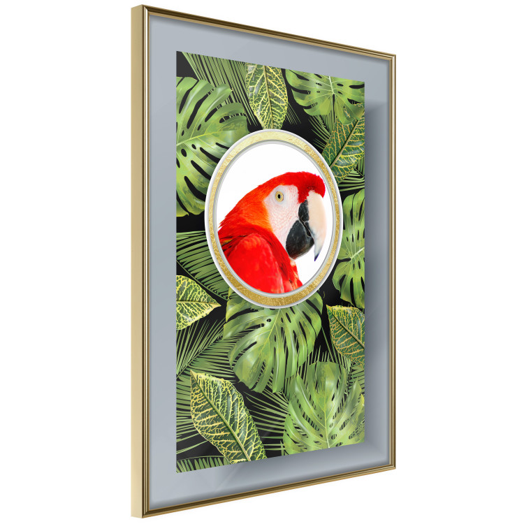Wall Poster Parrot in the jungle - colorful bird on a background of green tropical leaves 116407 additionalImage 12